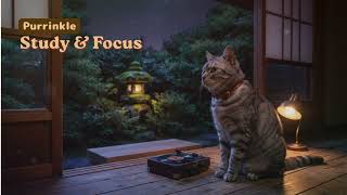 Starry Summer Night ✨ Lofi Beats to Sleep & Relax | Cat on a Japanese Engawa
