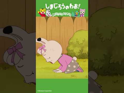 とべ！みみりん｜挑戦│しまじろうのわお！アニメ │ しまじろうチャンネル公式 #幼児#子ども#しまじろう#アニメ#shorts