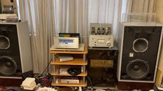Musician Pegasus Cadanz JA-88D (upgrade)