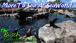 There Is More To Sea At SeaWorld! And We Hit 1K Subs!