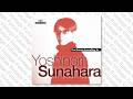 Aco - Spleen (Y.Sunahara's Studio Remix)