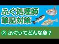【ふぐ処理師試験対策②】ふぐの仲間の特徴と分類を徹底整理！｜出題傾向と練習問題付き