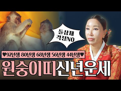 원숭이띠 2022 신년운세🙈🙉🙊 31세부터 79세까지 총운세 &amp;quot;<strong>들삼재</strong> 걱정마라! 재물운 양호!&amp;quot; /일산용한점집 [더샤머니즘]