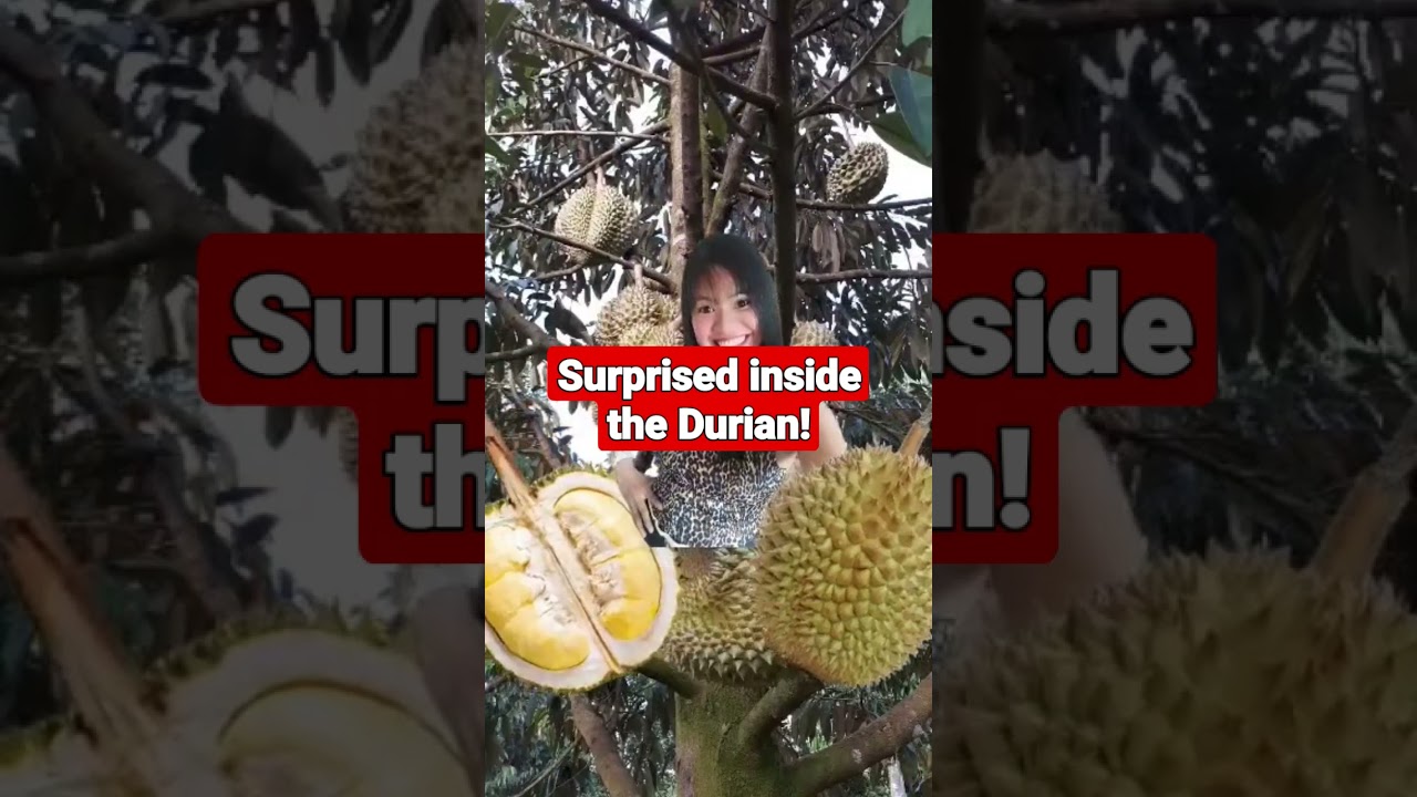 click and you will be surprised 🤨 