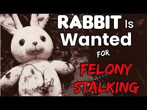 FELONY STALKING WARRANT Has been Issued for Benghazi Rabbit (Who's Next ...