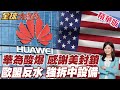 華為罕見公開感謝美國!直言制裁反成創新動力!歐盟封殺華為聲浪再度升高!德西擔憂歐洲付出沉重代價反對!【#全球大爆卦】精華版