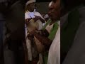 آدم مغني