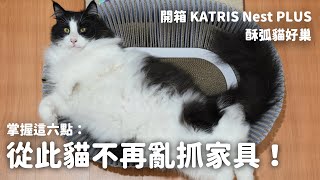 掌握這六點從此貓不再亂抓家具和那堤開箱KATRIS Nest PLUS 加大版酥弧貓好巢EP115