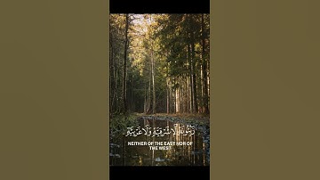 سورة النور سورة مدنية الشيخ ياسر الدوسري