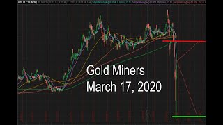 Gold (JNUG & JDST) in March 17 2020 Forecast / Probability