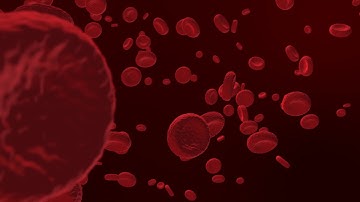 Motion Graphics » Red Blood Cells