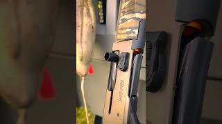 Mossberg 940: The Shotgun That Makes Sense