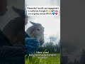 kindly donate through our donation link in bio to help A #horse #america #goviral #usa #UnitedStates