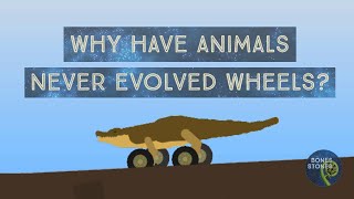 Why have animals never evolved wheels? What are the limits of evolution? Forbidden designs?