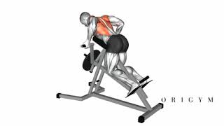 machine seated underhand row supinated grip 240p
