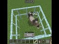 Minecraft best tik tok hack #minecraft #ytshorts