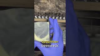 My male line bar #naturalsoap #soap #bestsoap #soapmakingtiktok #activatedcharcoal
