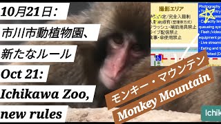 パンチOct 21: Ichikawa Zoo, new rules●10月21日：市川市動植物園、新たなルール#punch 