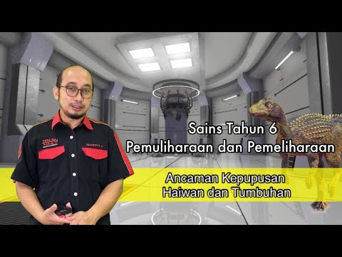 Video: Kebogelan Wanita Adalah Peletup Kepupusan Bangsa! - Pandangan Alternatif