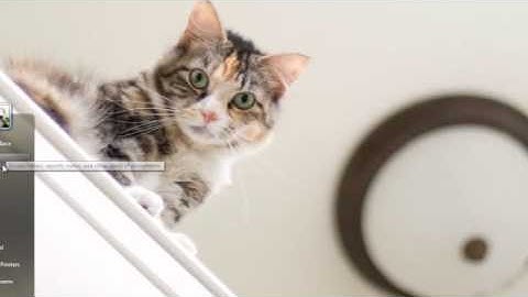 Need for Speed Shift for Android Money Hack