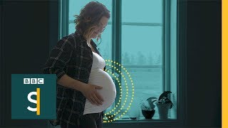 Swedish maternity hospital with no babies - BBC Stories