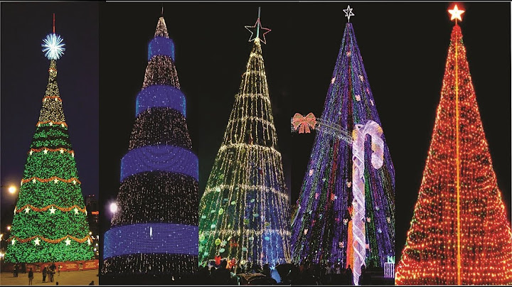 Los Arboles de Navidad mas grandes y altos de Centroamérica
