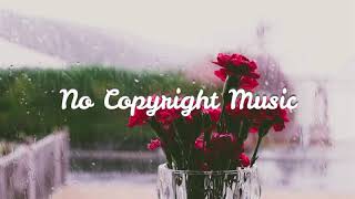 No Copyright Music - Feather - Waywell