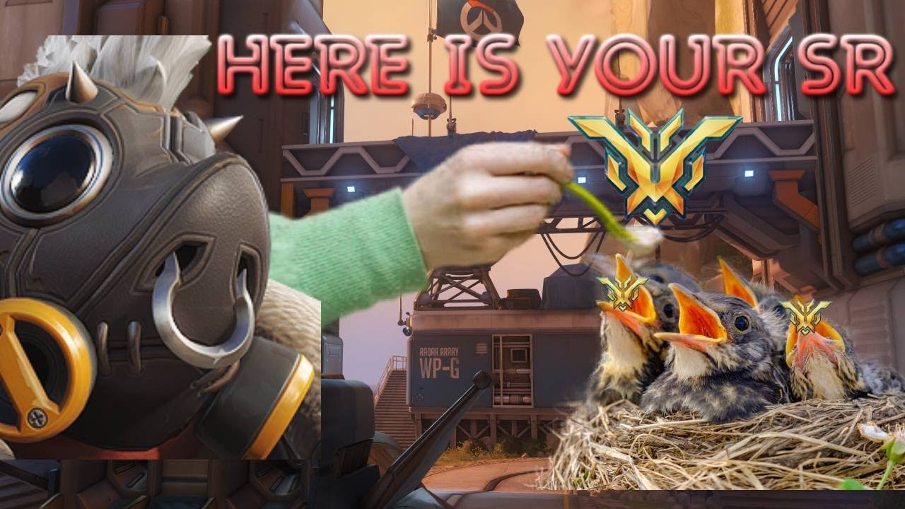 Топ 500 Hog-travaganza | Overwatch 2 6v6