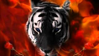 'Eye Of The Tiger'  Hiphop Club Rmx