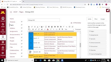 UMN-CALC formatting tables for accessibility on Canvas