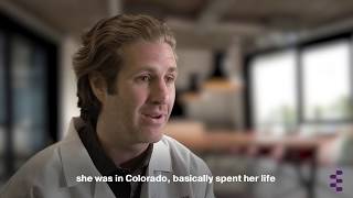 How did CBD oil become so popular?