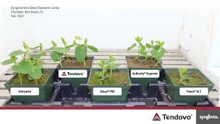 Unprecedented Crop Safety with Tendovo