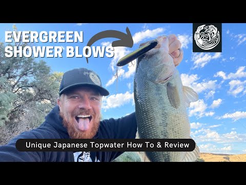 How To Fish EPIC Japanese Topwater The Evergreen Shower Blows Spook 