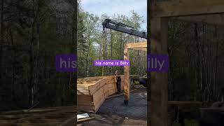 Trusses go up today #offgrid #newhomebuild #diyhomebuild