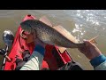 Chasing down a school of redfish under birds