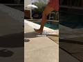 💀 Les pierres qui tombent dans la piscine…