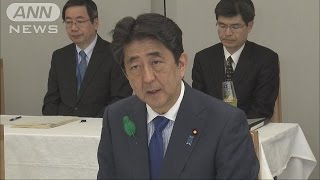 天皇退位巡り最終報告　称号・制度設計まとめ総理へ(17/04/21)