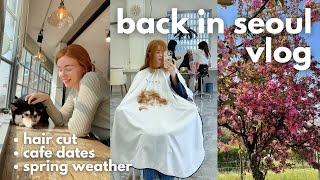 back in seoul 📹 getting a hair cut, jet lag, cafe dates | a spring week of my life in korea vlog