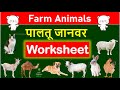 Domestic Animal | Farm Animals  | पालतू जानवरों के Worksheets | Animals Name #animals