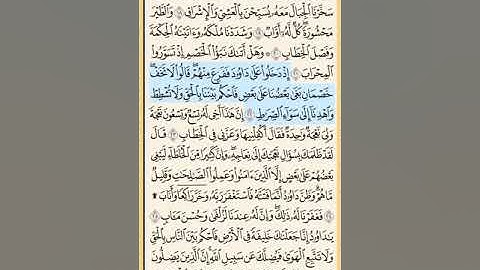 القرآن الكريم سورة ص من الايه الكريمه 1 إلى الآية الكريمة 26 محمد ايوب