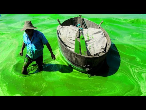 10 TOXIC Places On Earth