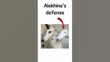 Chess Openings #14 - Scandinavian Defense | Alekhine