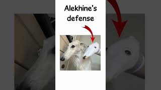 Chess Openings #14 - Scandinavian Defense | Alekhine's Defense | Fred