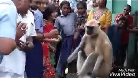 Sandeep kumar shukla