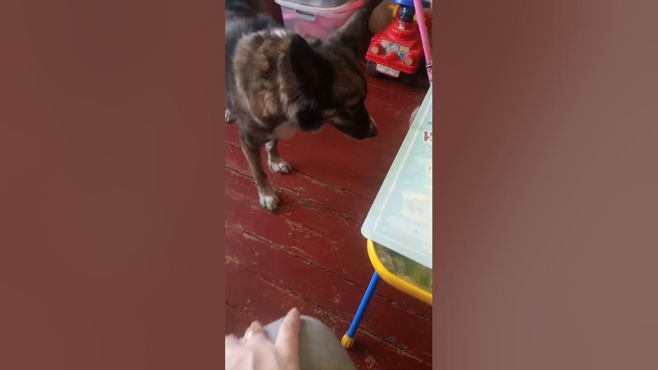 веселье продолжается😂🤣 - YouTube