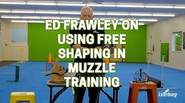Using Free Shaping in Muzzle Training