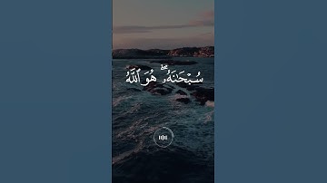 ماهر المعيقلي - سورة الزمر - تلاوة خاشعة #المصحف