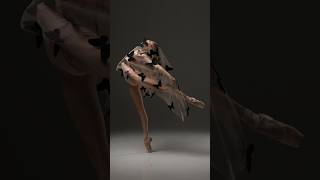 The Geometry of Grace📸 Ballet. Model Olga