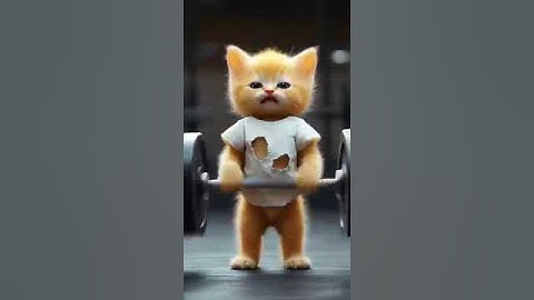 The Story of the Yellow Kitten: From Victim to Champion! 🏆🔥 #motivation #school #mma #viralvideo #ai
