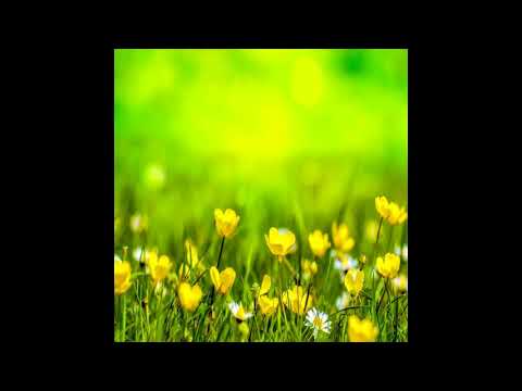 One Day (New Age Piano) - J.O
